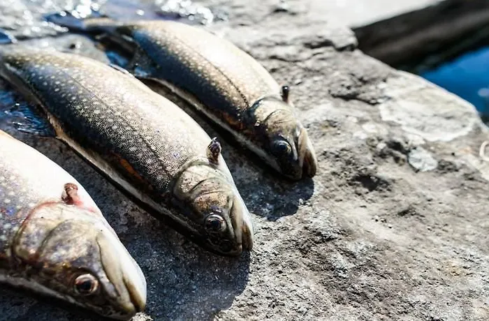 מלון Ristorante Il Laghetto *