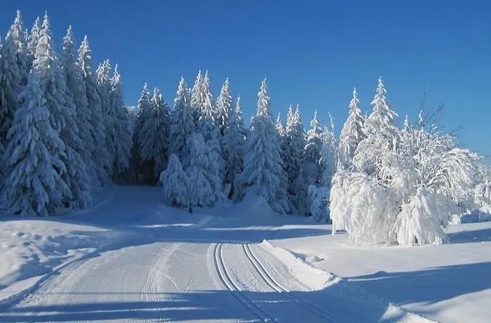 מלון Ristorante Il Laghetto *