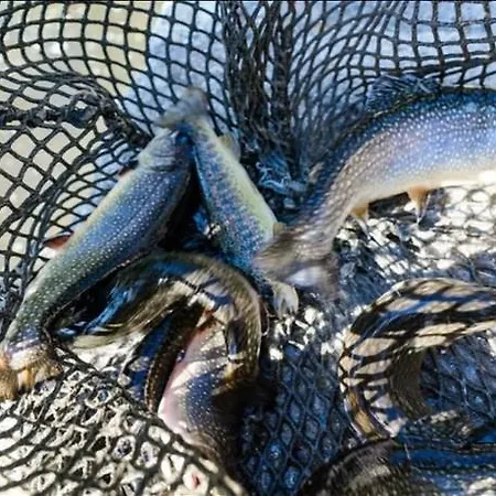 Hotel Ristorante Il Laghetto *