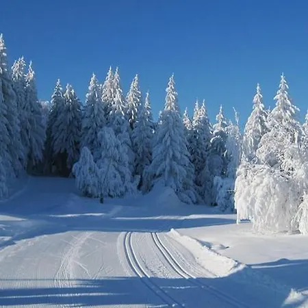 Hotel Ristorante Il Laghetto *