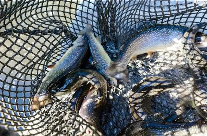 Szálloda Ristorante Il Laghetto *